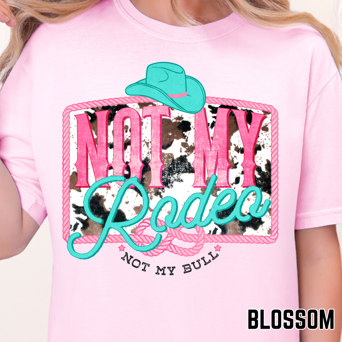 Not My Rodeo, Not My Bull - Full Color DTF Transfer - 0695