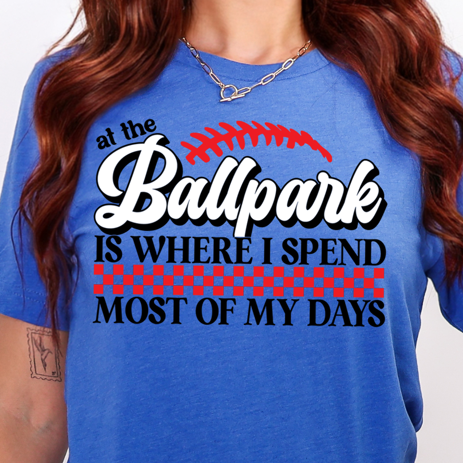 At the Ballpark Is Where I Spend Most of My Days- Full Color DTF Transfer