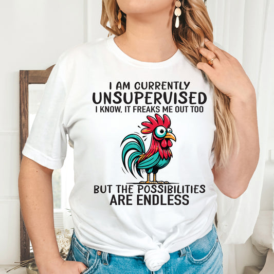 I Am Currently Unsupervised. I Know, it Freaks Me Out Too, But the Possibilities Are Endless- 11" wide DTF Transfer