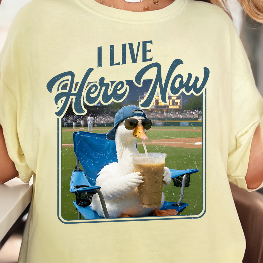 I Live Here Now Baseball Goose-Full Color DTF Transfer