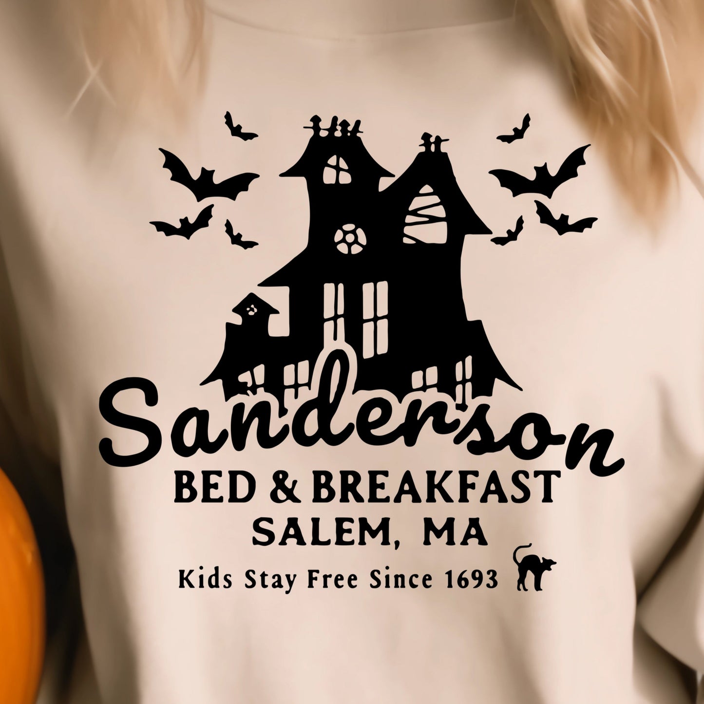 Sanderson Bed & Breakfast- Single Color (black)- 11.5" wide Plastisol Screen Print Transfer