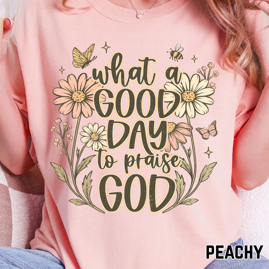 What a Good Day to Praise God - Full Color DTF Transfer - 0713