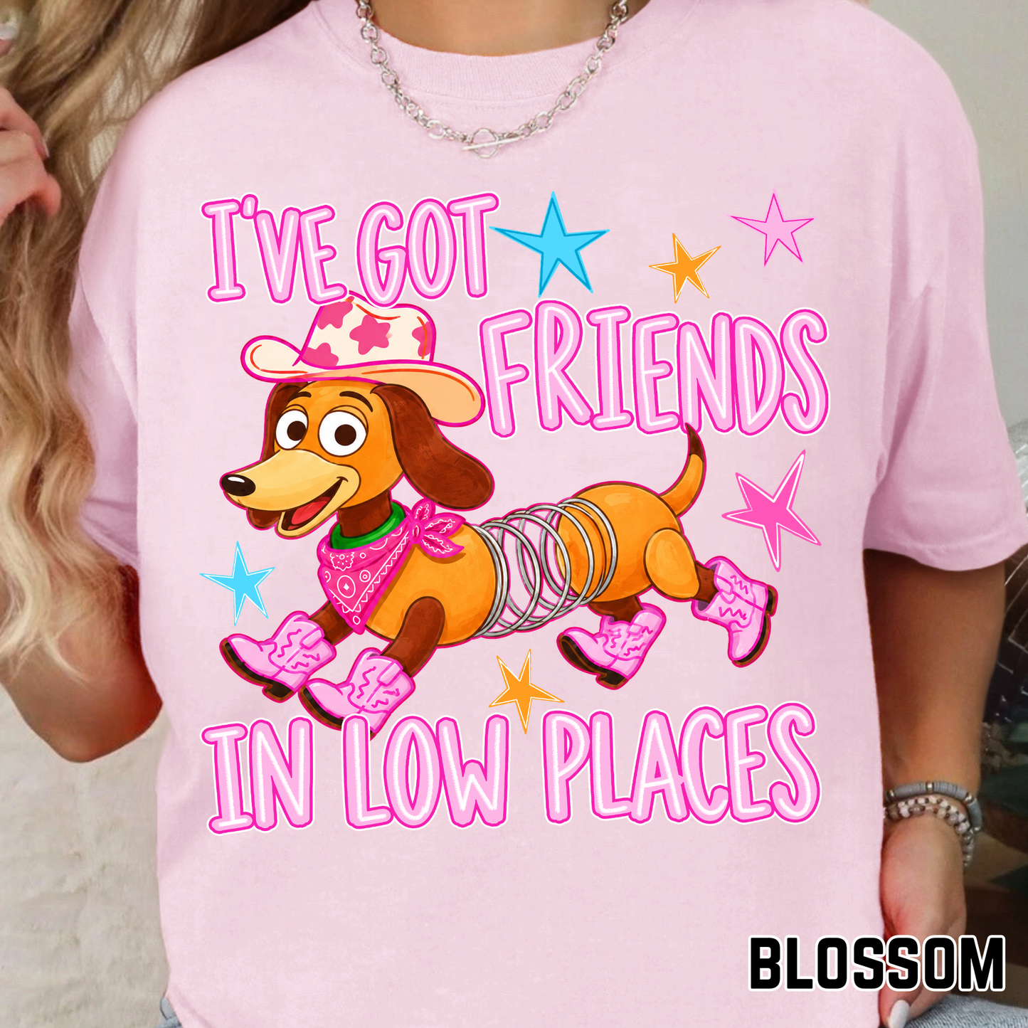 I've Got Friends in Low Places - Full Color DTF Transfer - 0778