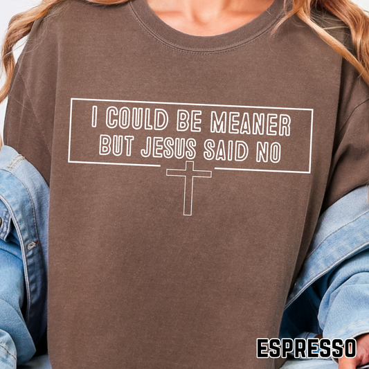 I could be Meaner, but Jesus said No - Single Color DTF Transfer - 0624