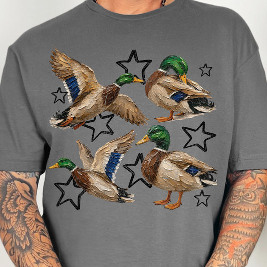 Stars & Painted Ducks - Full Color DTF Transfer - 0791