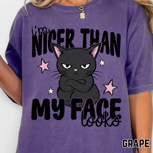 Nicer Than My Face Looks - Full Color DTF Transfer - 0688