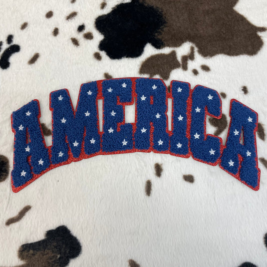 America- 10.75" wide Chenille Patch