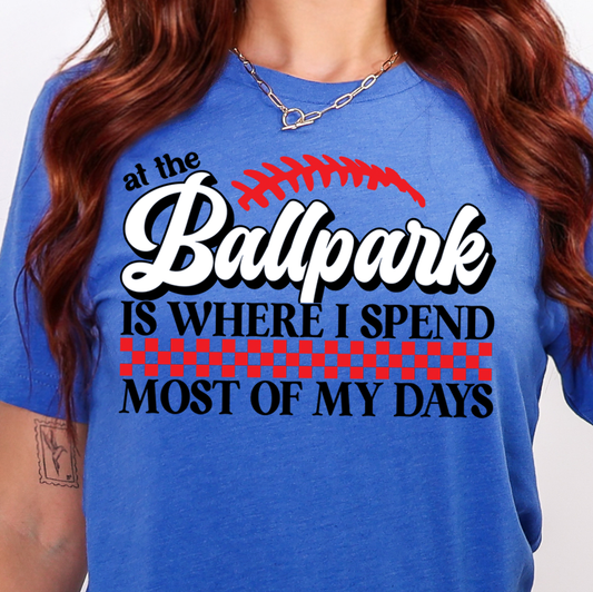 At the Ballpark Is Where I Spend Most of My Days- Full Color DTF Transfer