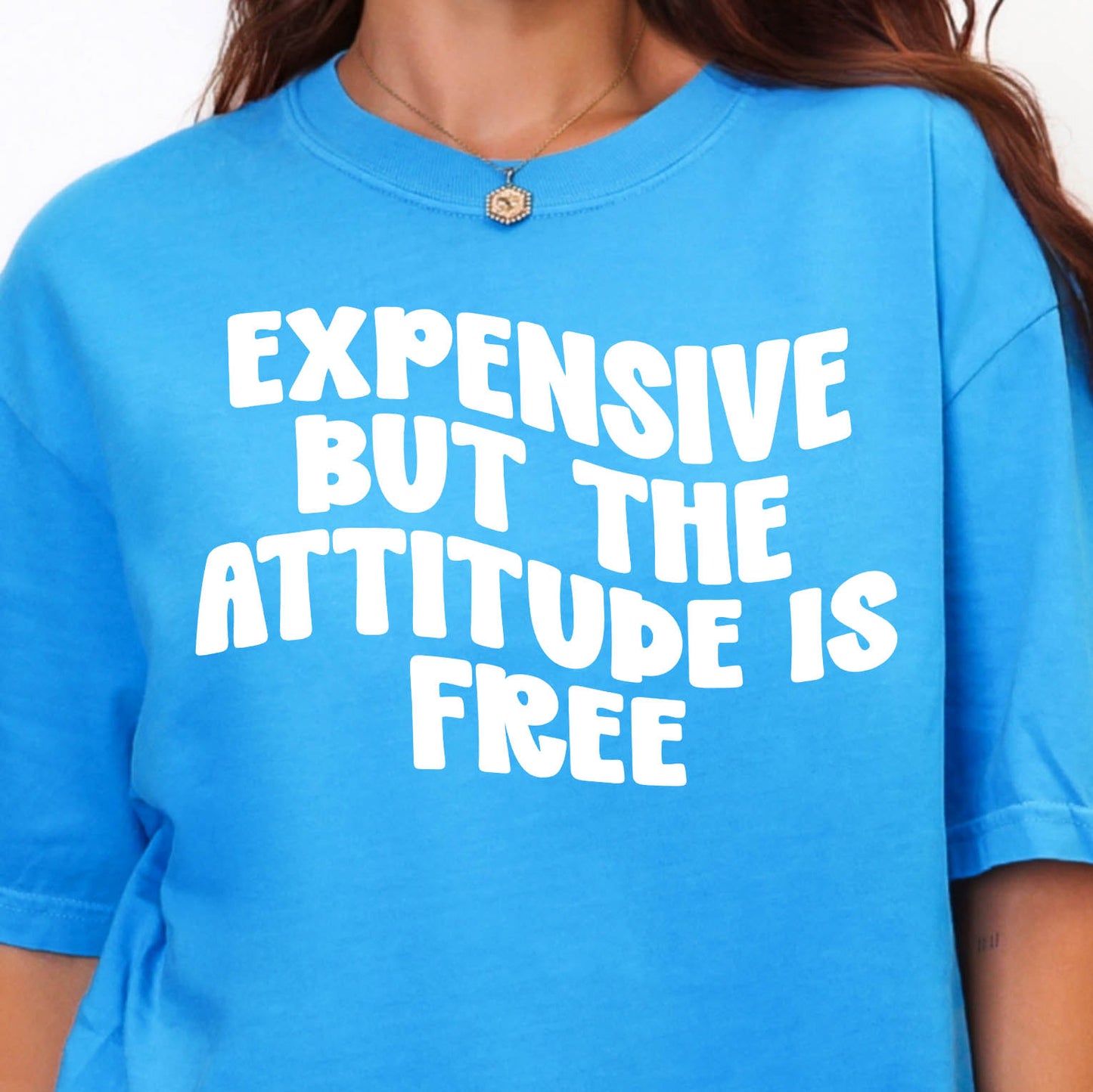 Expensive but the Attitude is Free- Single Color (white)- 11.5” wide Screen Print Transfer