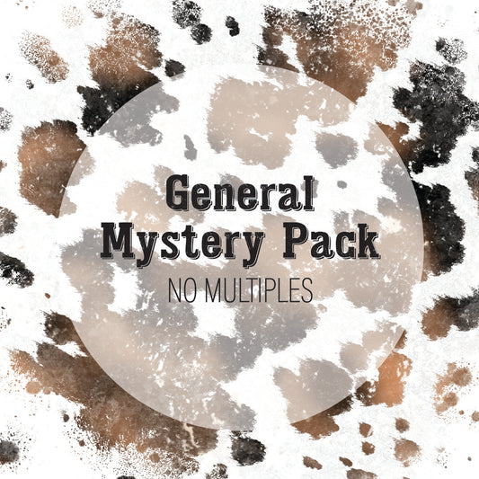 General Mystery Pack- NO Multiples- 10 Plastisol Screen Print Transfers