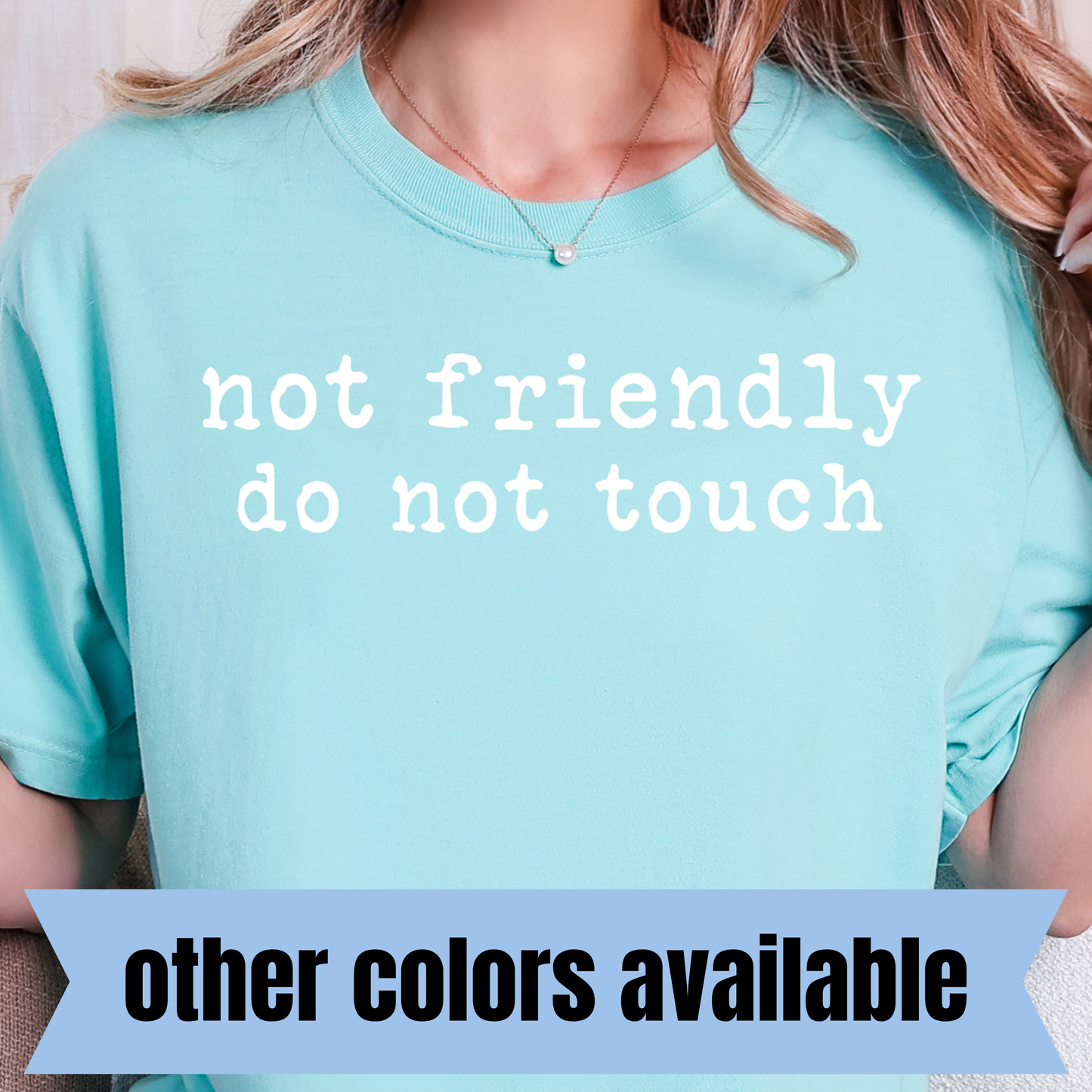 Not Friendly, Do Not Touch- Single Color DTF Transfer