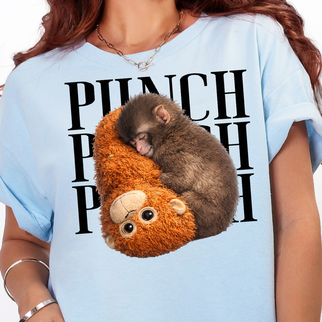 Punch- Full Color DTF Transfer