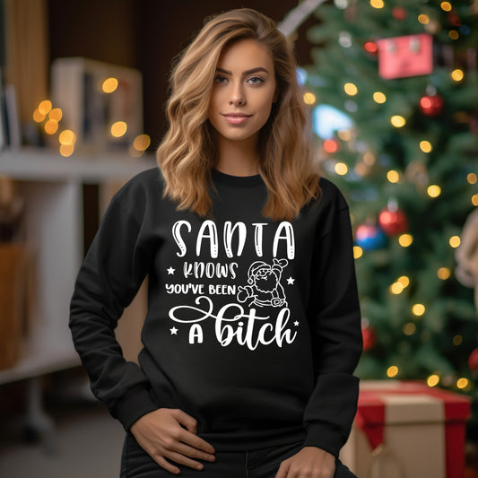 Santa Knows You've Been a B*tch- Single Color (white)- 11.5" wide Plastisol Screen Print Transfer