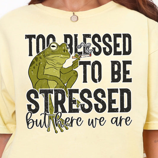**PREORDER** Too Blessed to Be Stressed but Here We Are- DTF Transfer